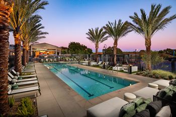 A pool surrounded by palm trees and lounge chairs.